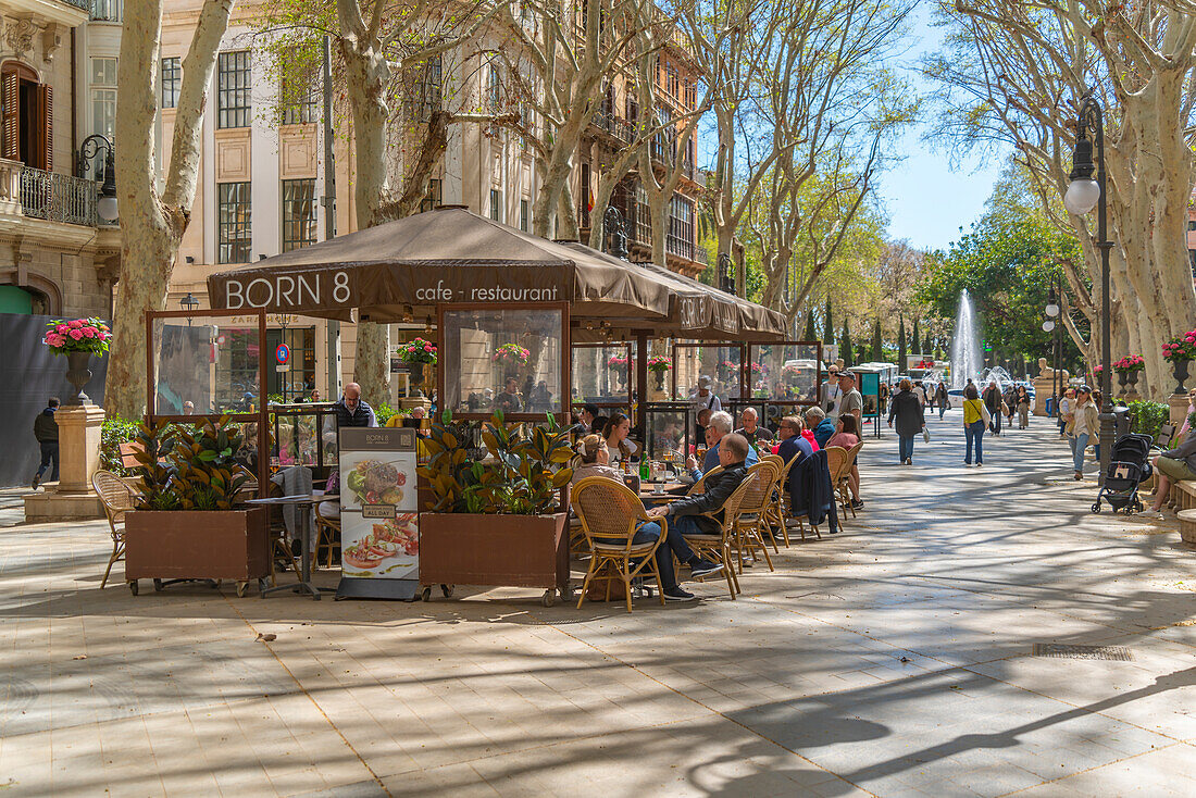 View of cafes on Paseo del Borne, Palma de Mallorca, Majorca, Balearic Islands, Spain, Mediterranean, Europe