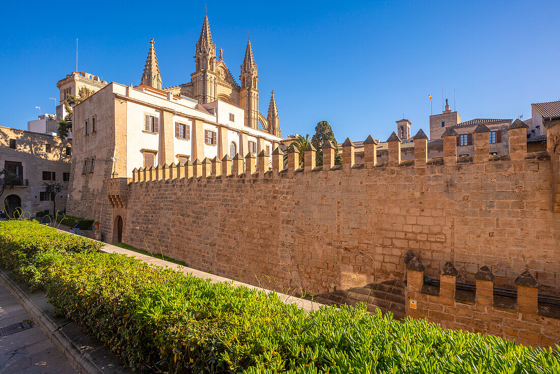 View of Cathedral-BasA?lica de Santa MarA?a de Mallorca from Seo Garden, Palma de Mallorca, Majorca, Balearic Islands, Spain, Mediterranean, Europe