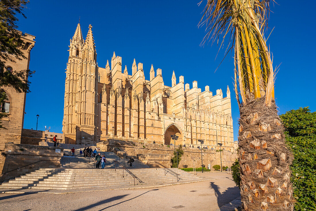 Blick auf die Kathedrale-BasA?lica de Santa MarA?a de Mallorca, Palma de Mallorca, Mallorca, Balearische Inseln, Spanien, Mittelmeer, Europa