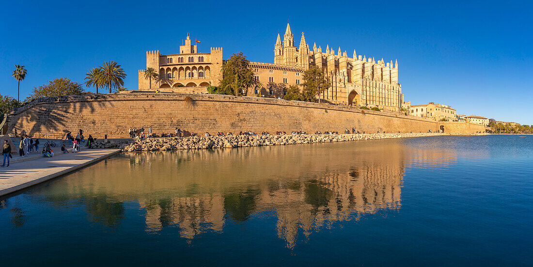 Blick auf die Kathedrale-BasA?lica de Santa MarA?a de Mallorca vom Passeig MarA?time, Palma de Mallorca, Mallorca, Balearische Inseln, Spanien, Mittelmeer, Europa