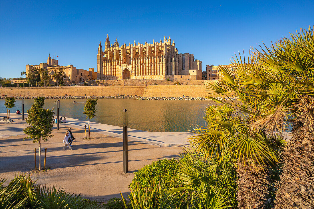 Blick auf die Kathedrale-BasA?lica de Santa Maria de Mallorca vom Passeig MarA?time, Palma de Mallorca, Mallorca, Balearen, Spanien, Mittelmeer, Europa