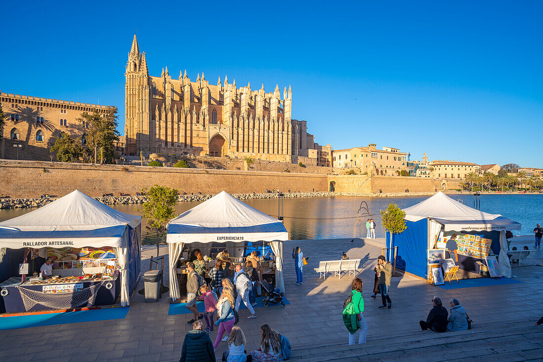 View of Cathedral-BasA?lica de Santa MarA?a de Mallorca and craft stalls on Passeig MarA?time, Palma de Mallorca, Majorca, Balearic Islands, Spain, Europe