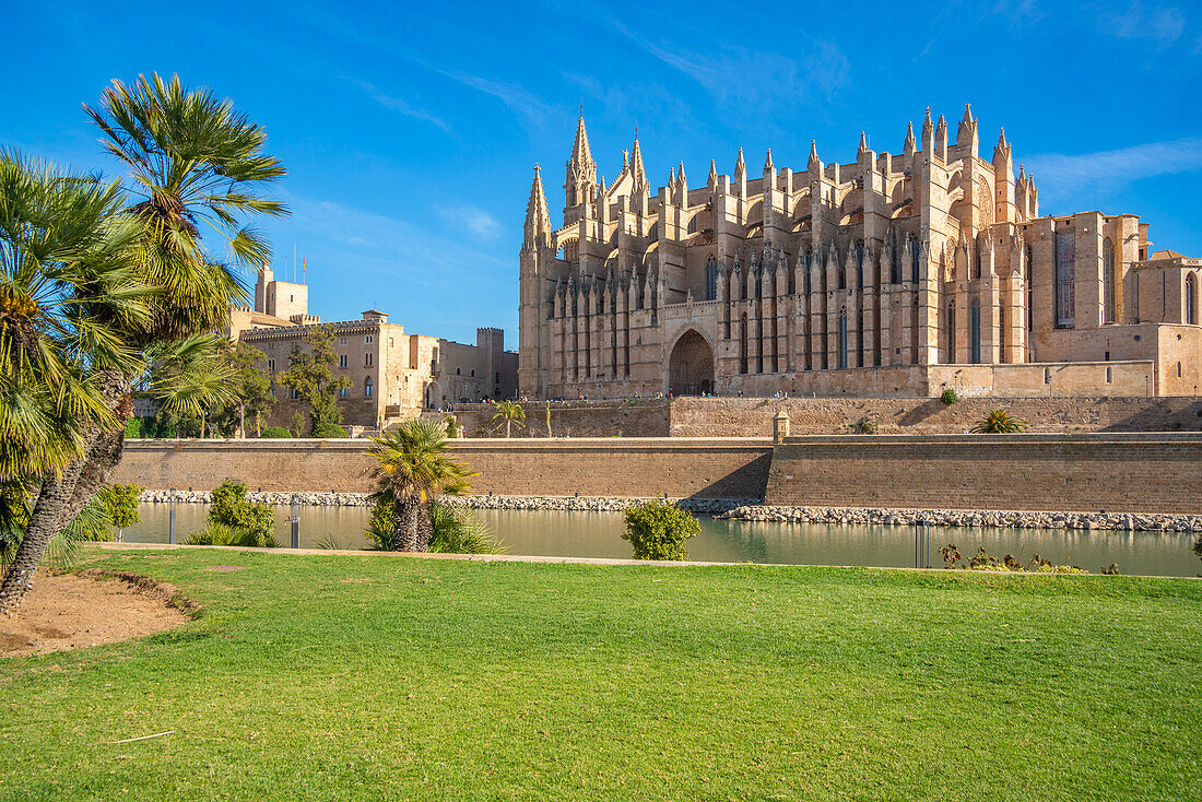 Blick auf die Kathedrale-BasA?lica de Santa Maria de Mallorca vom Passeig MarA?time, Palma de Mallorca, Mallorca, Balearen, Spanien, Mittelmeer, Europa