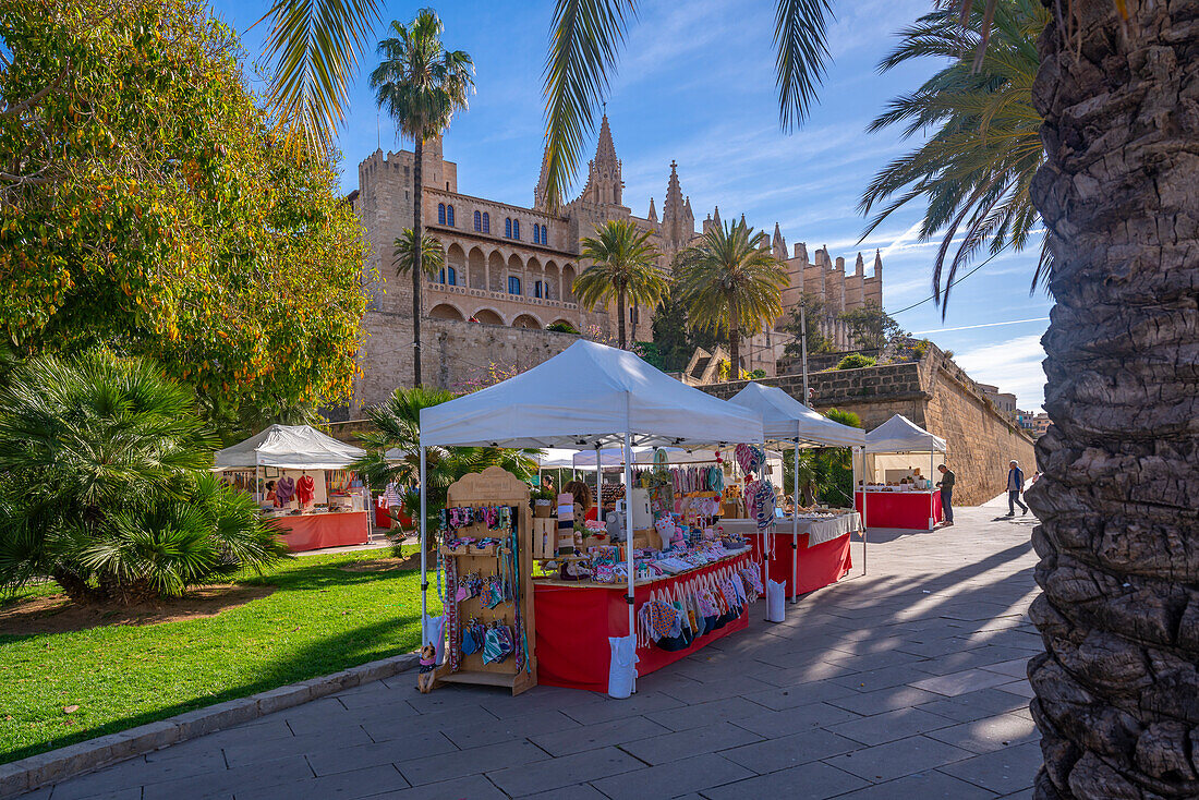 View of Cathedral-BasA?lica de Santa Maria de Mallorca from Passeig MarA?time, Palma de Mallorca, Majorca, Balearic Islands, Spain, Mediterranean, Europe