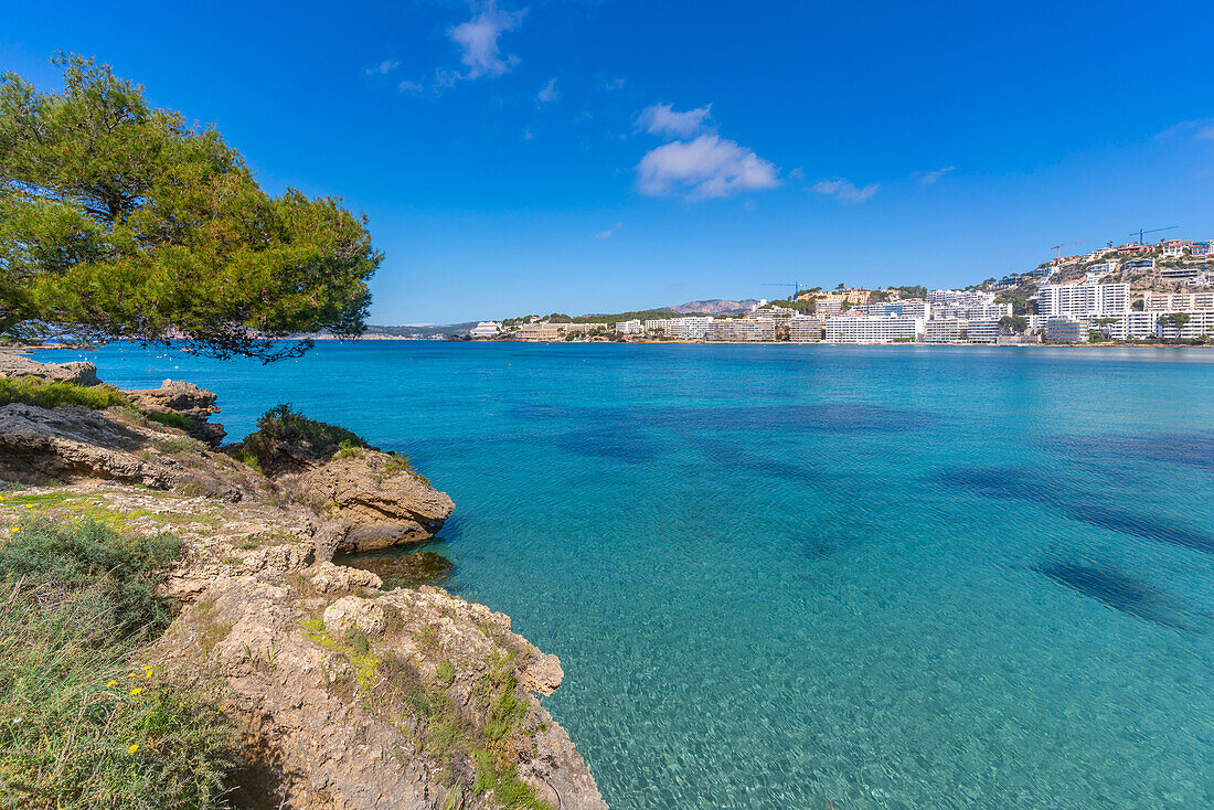 Blick auf felsige Küste mit türkisfarbenem Meer und Santa Ponsa, Mallorca, Balearen, Spanien, Mittelmeer, Europa