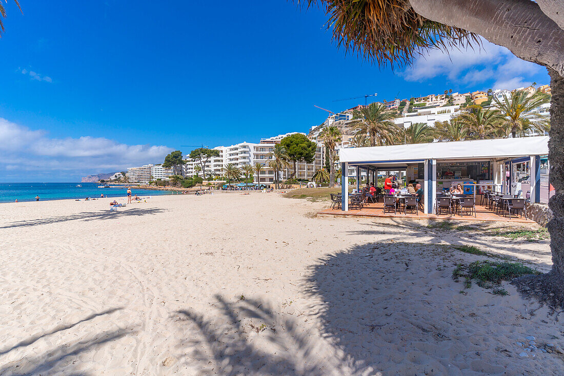 Blick auf Strandcafé und Hotels in Santa Ponsa, Mallorca, Balearen, Spanien, Mittelmeer, Europa