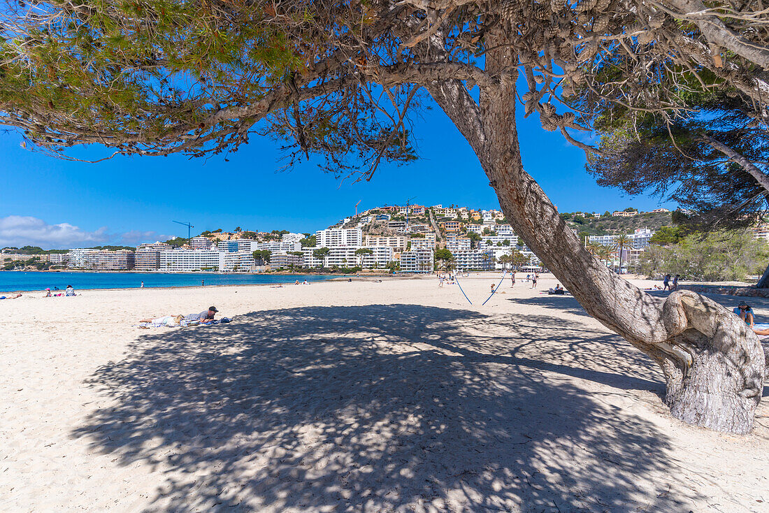 View of beach and hotels in Santa Ponsa, Majorca, Balearic Islands, Spain, Mediterranean, Europe