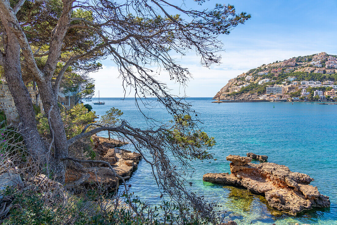 Blick auf Villen mit Blick aufs Meer in Port d'Andratx, Mallorca, Balearen, Spanien, Mittelmeer, Europa