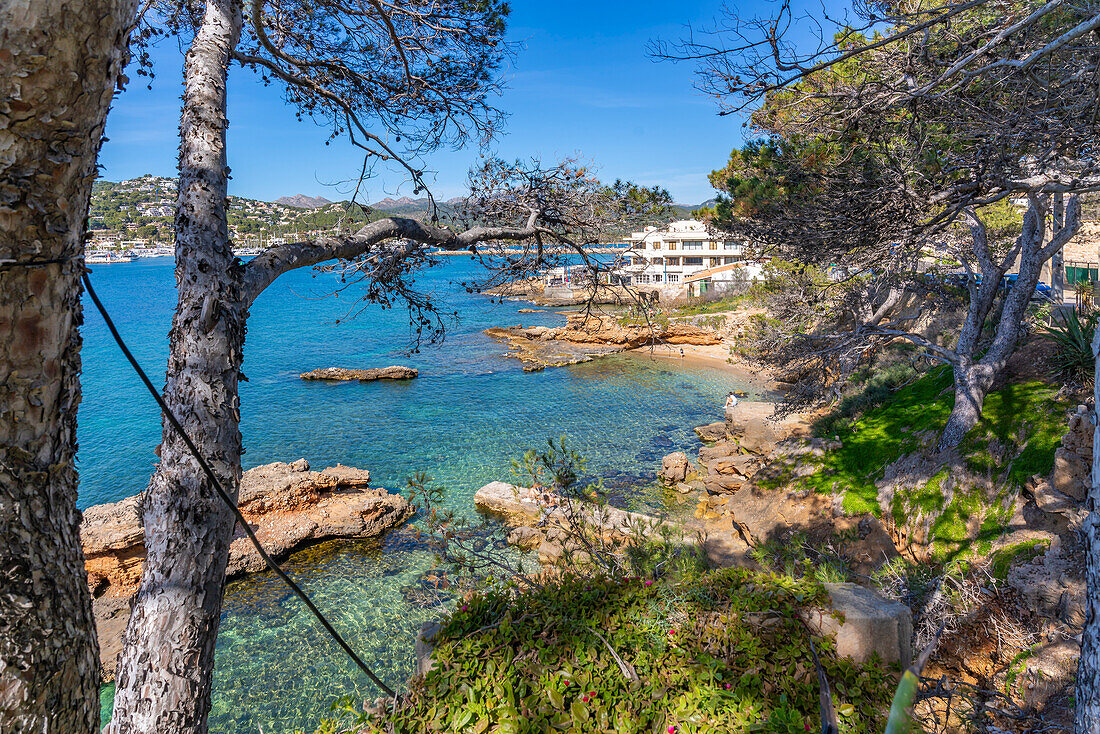 Blick auf die felsige Küste und das Meer bei Port d'Andratx, Mallorca, Balearen, Spanien, Mittelmeer, Europa