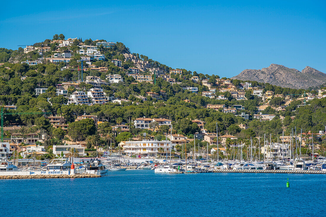 View of villas, houses and apartments overlooking marina at Port d'Andratx, Majorca, Balearic Islands, Spain, Mediterranean, Europe