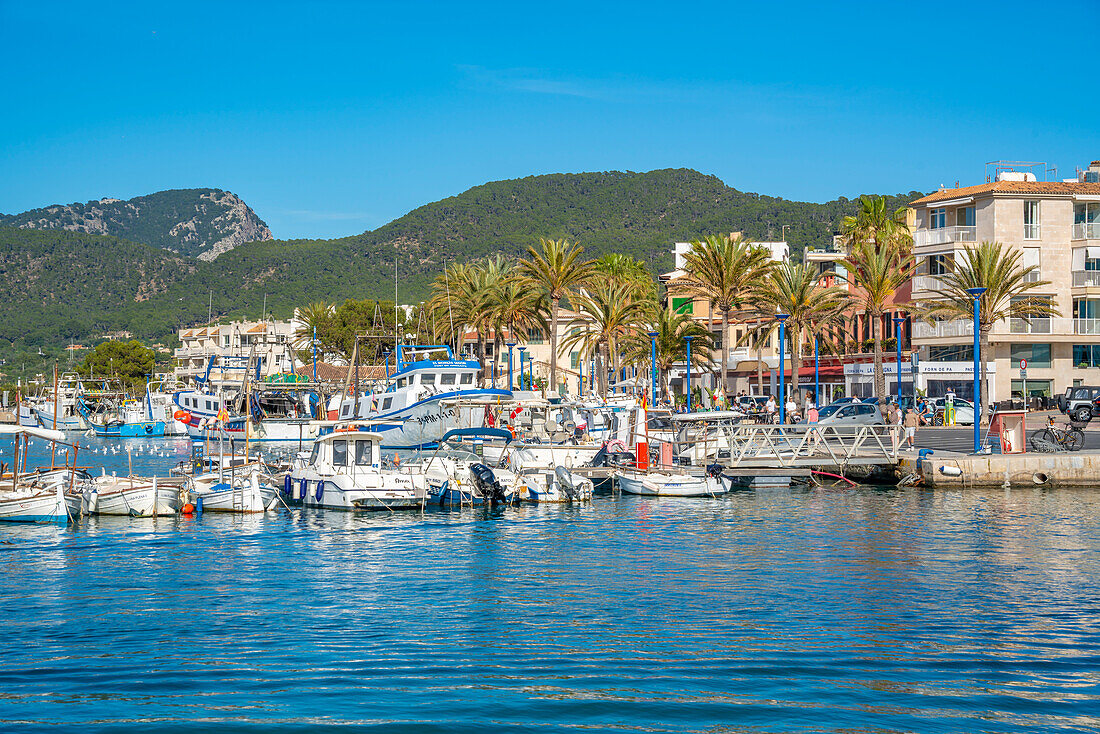 Blick auf den Yachthafen von Port d'Andratx, Mallorca, Balearen, Spanien, Mittelmeer, Europa