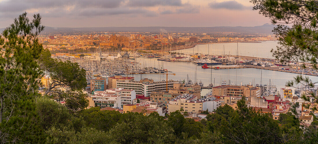 Blick auf die Skyline von Palma und die Kathedrale vom Castell de Bellver bei Sonnenuntergang, Mallorca, Balearen, Spanien, Mittelmeer, Europa