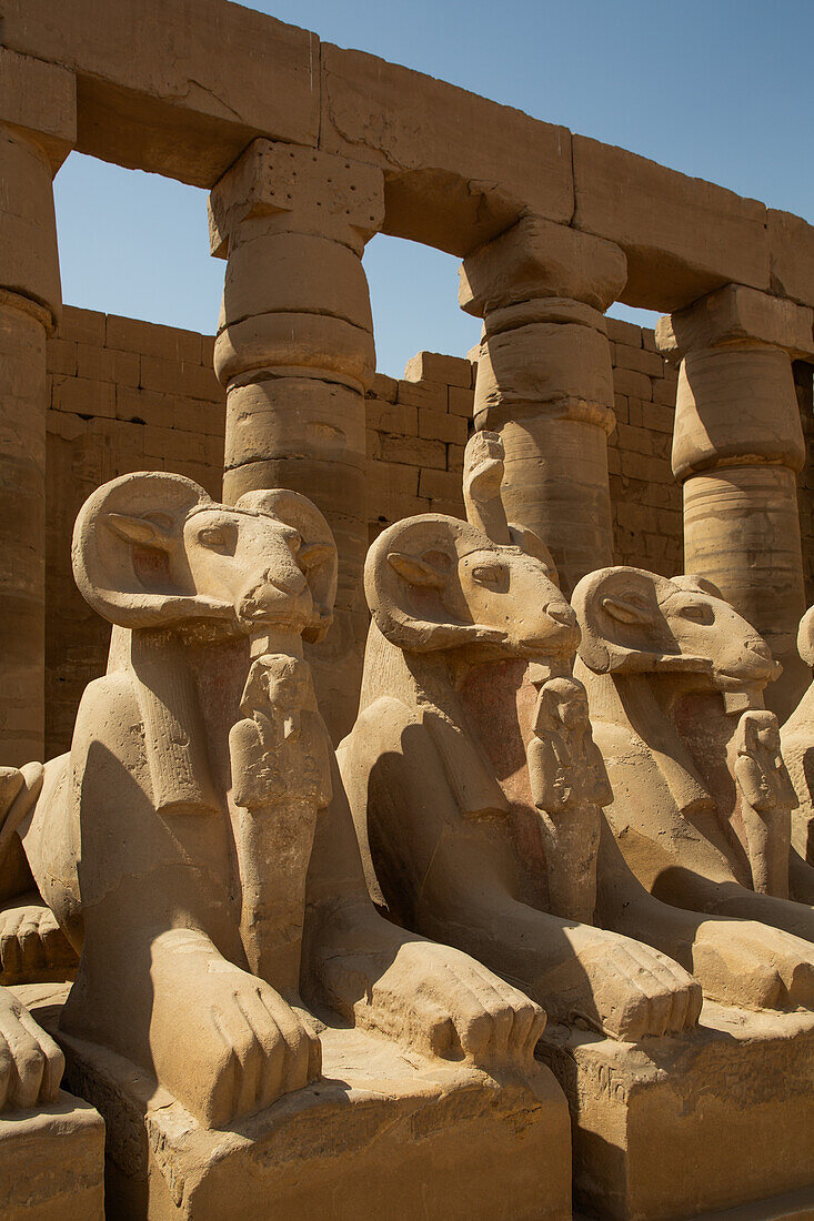 Ram-Headed Sphinxes, Great Court, Karnak Temple Complex, UNESCO World Heritage Site, Luxor, Egypt, North Africa, Africa