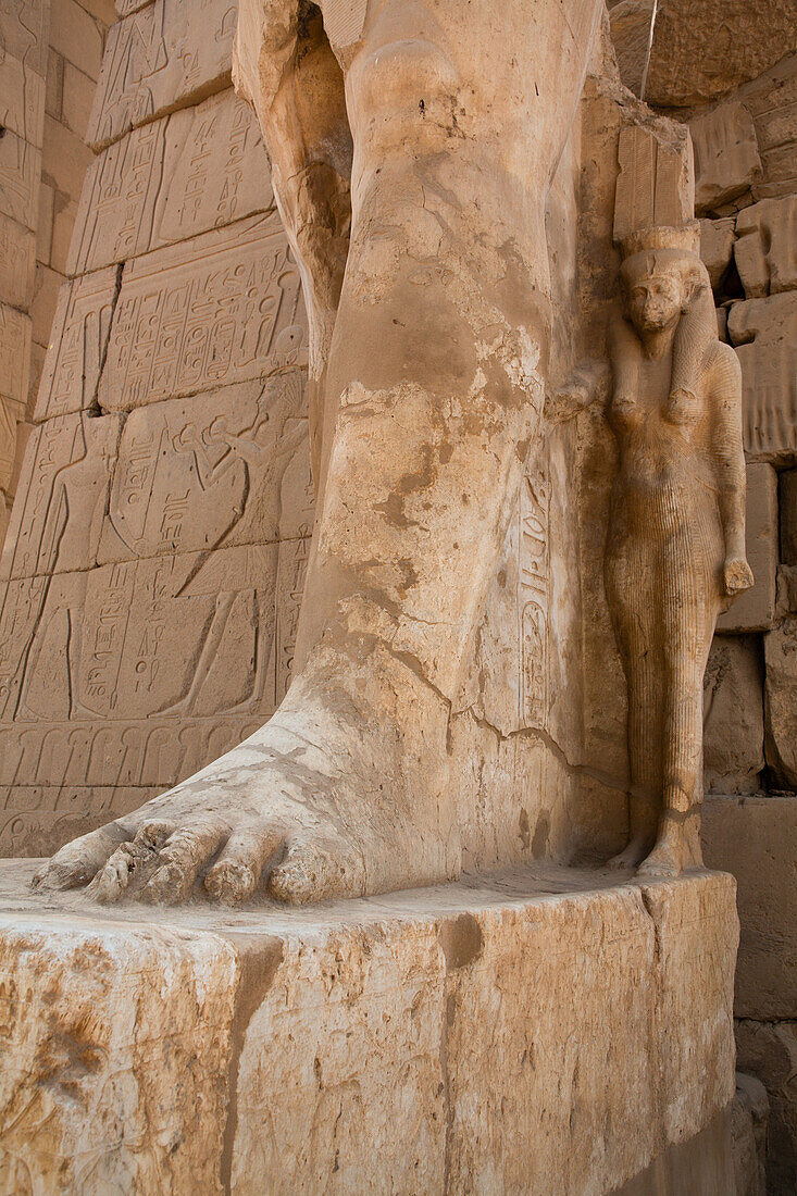 Statue of Queen Nefetari, Karnak Temple Complex, UNESCO World Heritage Site, Luxor, Egypt, North Africa, Africa