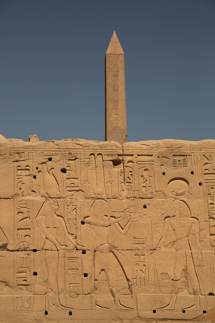 Wall Reliefs in foreground, Obelisk of Thutmose I in the background, Karnak Temple Complex, UNESCO World Heritage Site, Luxor, Egypt, North Africa, Africa