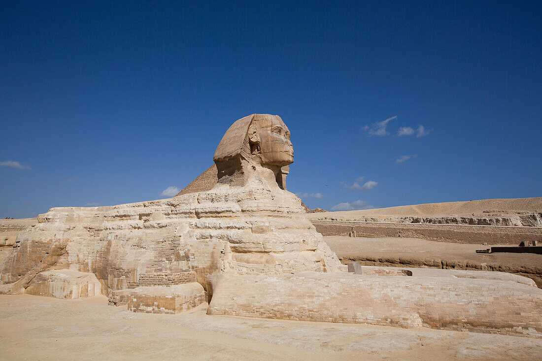 Große Sphinx von Gizeh, Pyramidenkomplex von Gizeh, UNESCO-Welterbe, Gizeh, Ägypten, Nordafrika, Afrika