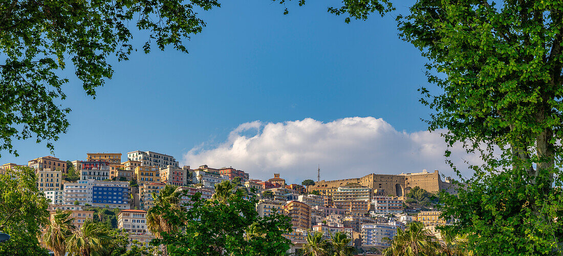 View of pastel coloured villas and Sant'Elmo Castle from Rotonda Diaz, Naples, Campania, Italy, Europe