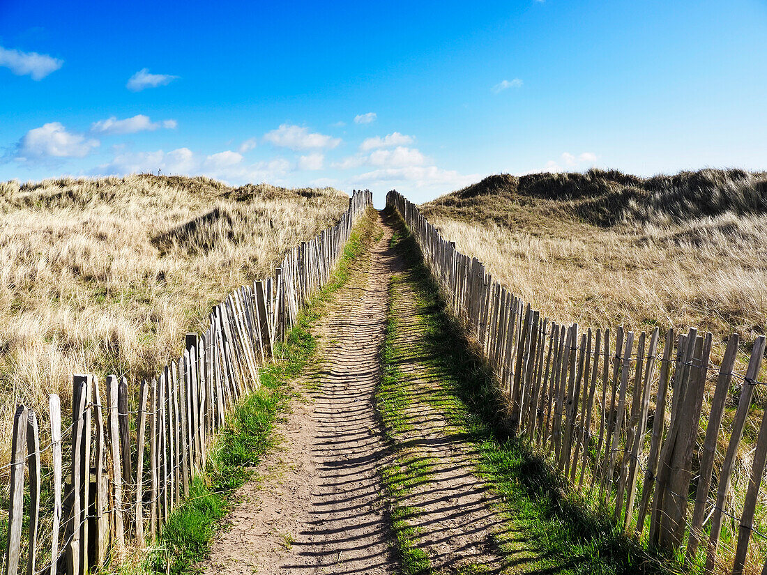 Dünen an den West Sands in St. Andrews, Fife, Schottland, Vereinigtes Königreich, Europa