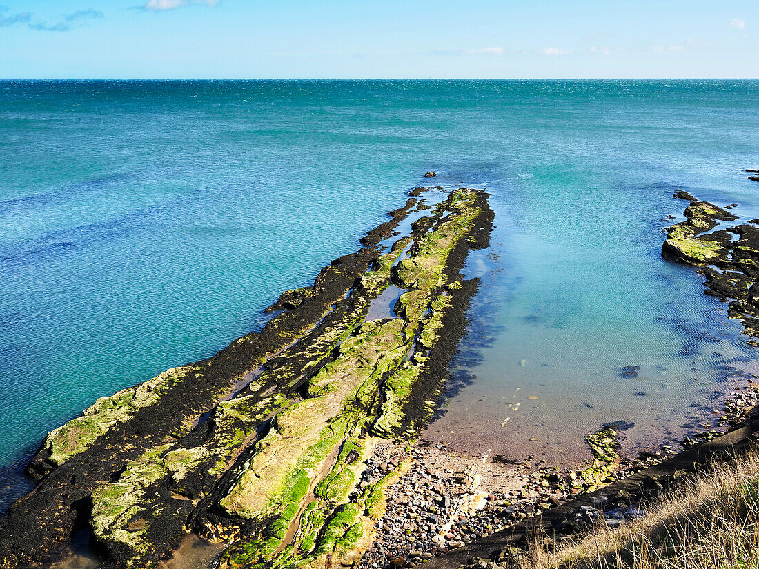 Felsen bei Castle Sands in St. Andrews, Fife, Schottland, Vereinigtes Königreich, Europa