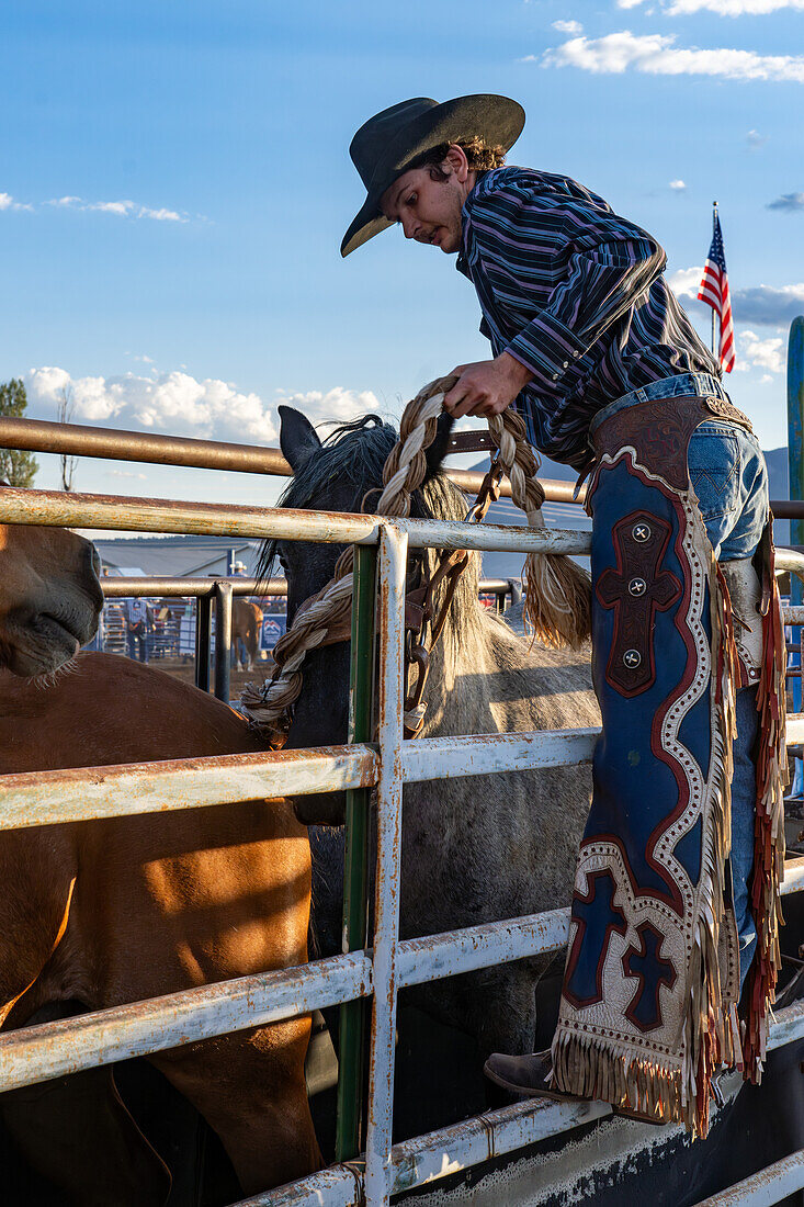 A saddle bronc cowboy Logan Nunn puts his bronc rein & halter on the bucking horse in the chute at a rodeo in rural Utah.