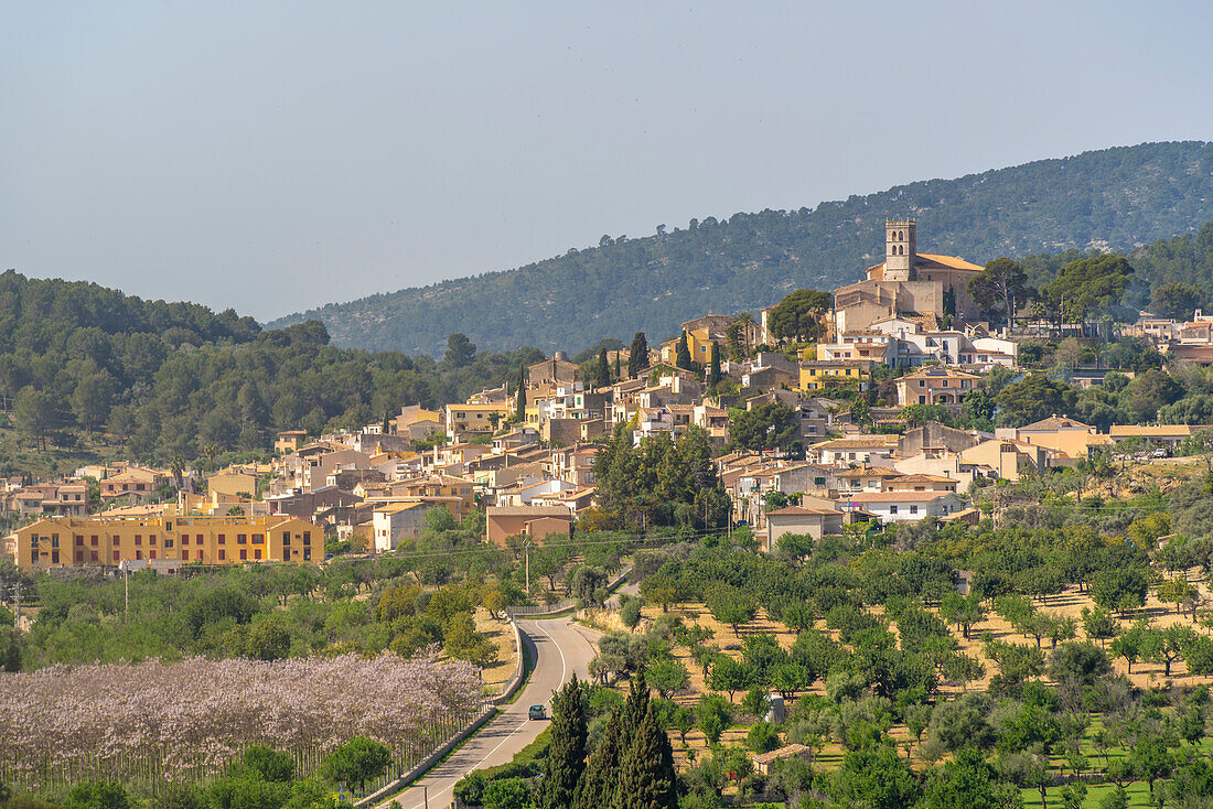 Blick auf die auf einem Hügel gelegene Stadt Selva, Mallorca, Balearen, Spanien, Mittelmeer, Europa