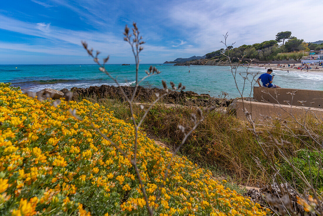 Blick auf den Badeort Cala Rajada, Mallorca, Balearen, Spanien, Mittelmeer, Europa