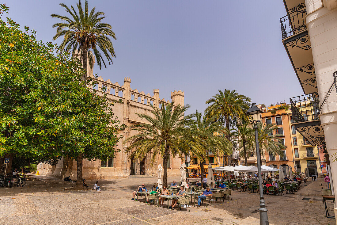 View of cafe and Llotja de Palma in Placa de la Llotja, Palma de Mallorca, Majorca, Balearic Islands, Spain, Mediterranean, Europe