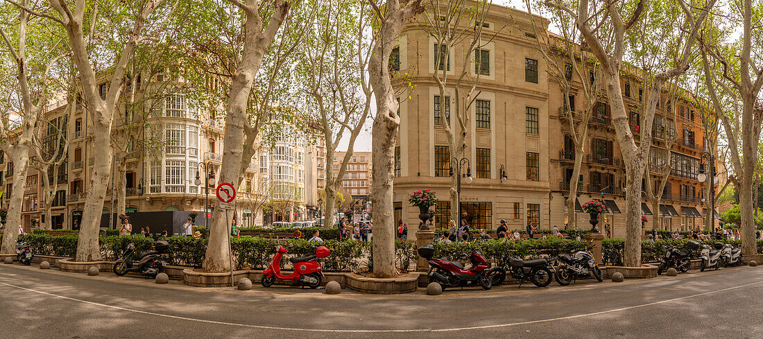 Blick auf Cafés am Paseo del Borne, Palma de Mallorca, Mallorca, Balearen, Spanien, Mittelmeer, Europa