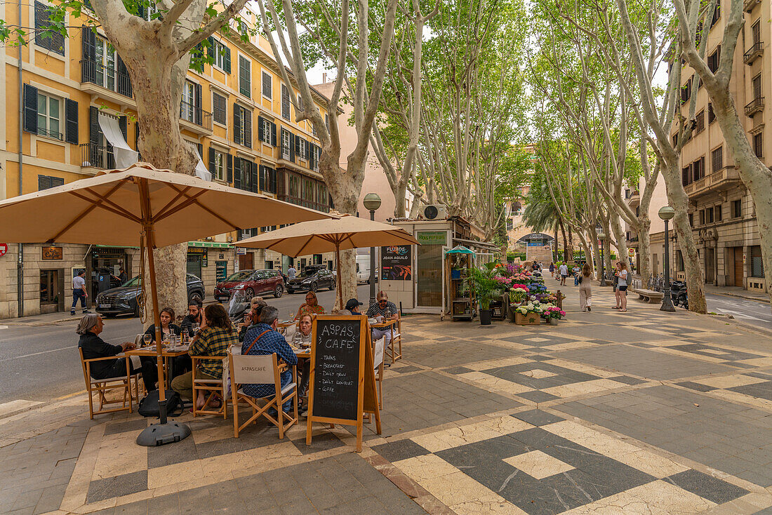 Blick auf ein Café auf der von Bäumen gesäumten La Rambla in Palma, Palma de Mallorca, Mallorca, Balearen, Spanien, Mittelmeer, Europa