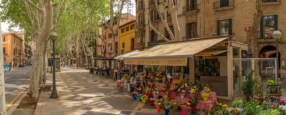 View of flower stall and cafe on tree lined La Rambla in Palma, Palma de Mallorca, Majorca, Balearic Islands, Spain, Mediterranean, Europe