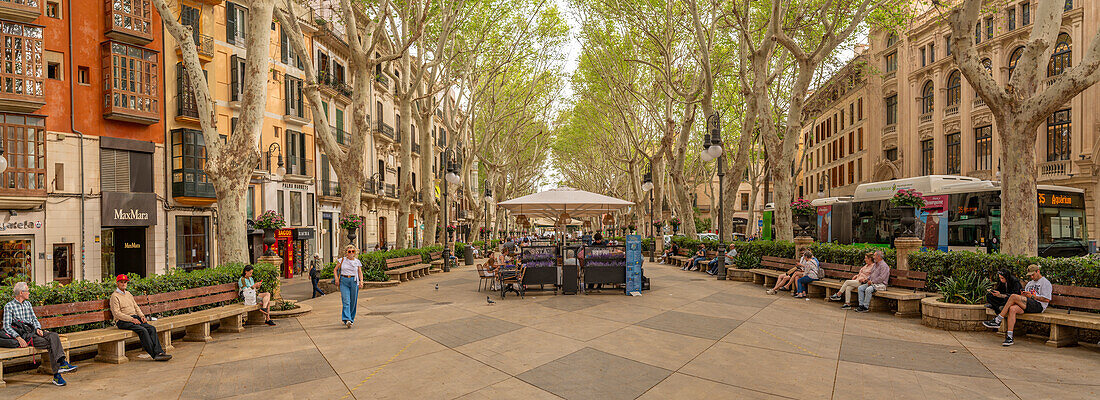 Blick auf den Paseo del Borne, Palma de Mallorca, Mallorca, Balearen, Spanien, Mittelmeer, Europa