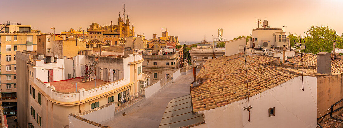 Blick auf die Catedral-BasA?lica de Santa MarA?a de Mallorca und Dächer, Palma de Mallorca, Mallorca, Balearen, Spanien, Mittelmeer, Europa