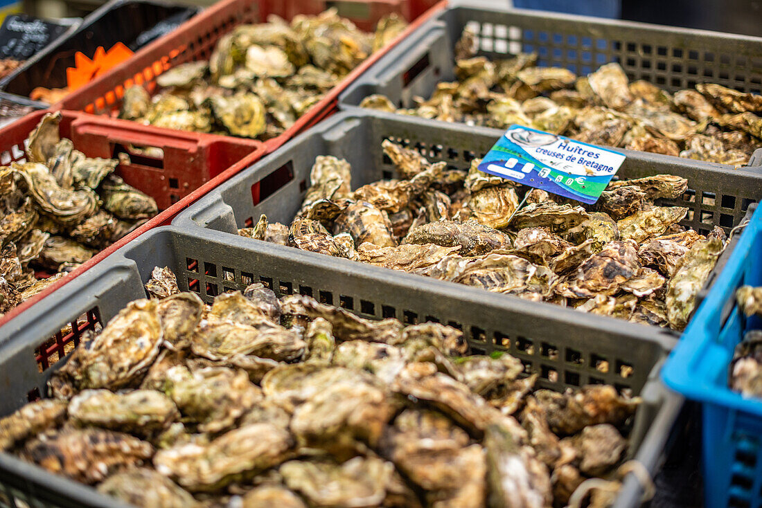 Close-up of fresh oysters in crates at a seafood market in Vannes, Brittany, France. A glimpse of local culinary delicacies.