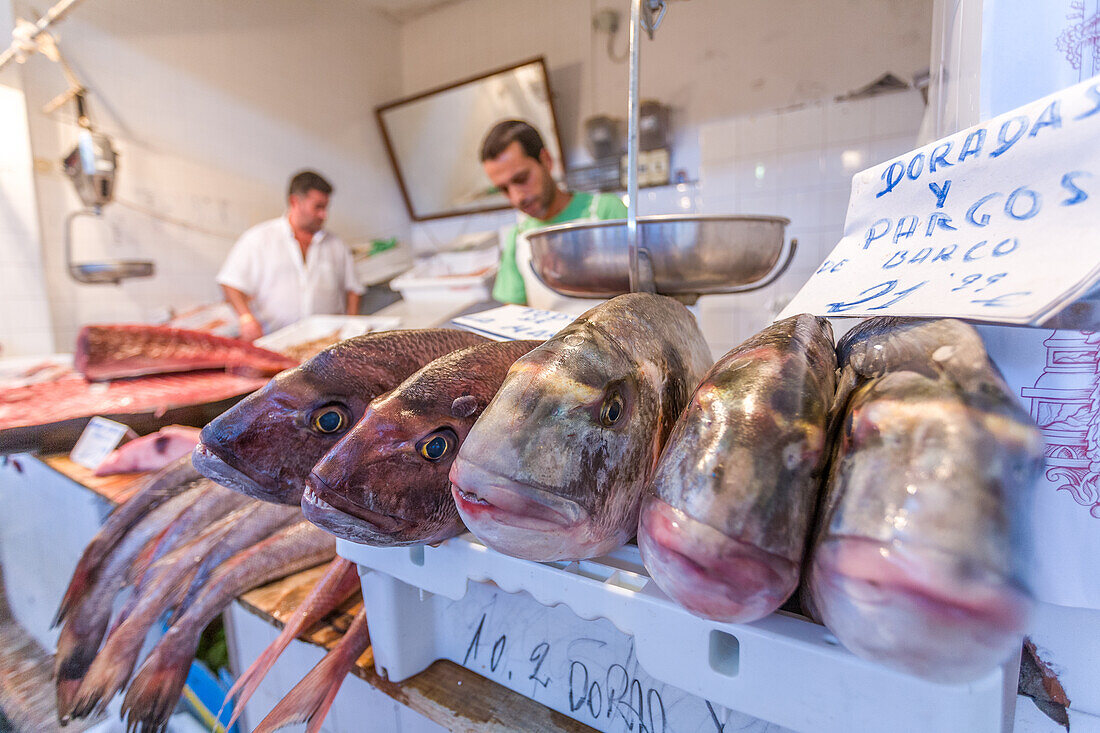 Fresh fish displayed at a market stall in Sanlucar de Barrameda, province of Cadiz, Andalusia, Spain. Two men working in the background.