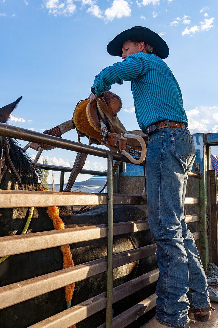 Ein Cowboy sattelt bei einem Rodeo im ländlichen Utah das bockende Pferd in der Rutsche.