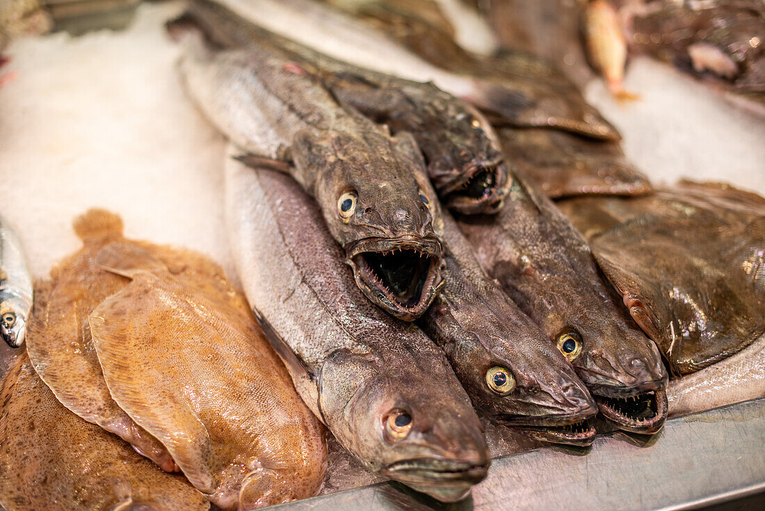 Fangfrischer Fisch auf Eis auf einem Markt in Vannes, Bretagne, Frankreich. Auf diesem lebhaften Markt werden lokale Meeresfrüchte angeboten.