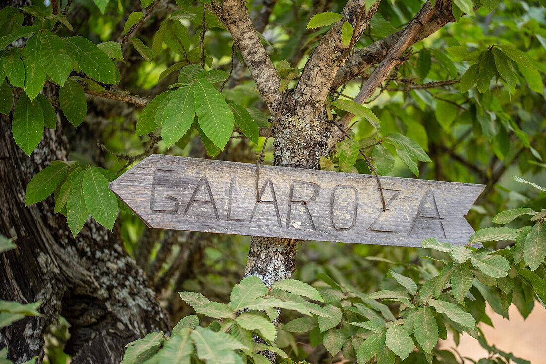 A rustic wooden signpost directing to Galaroza, nestled among lush green leaves in Fuenteheridos, province of Huelva, Andalusia, Spain.