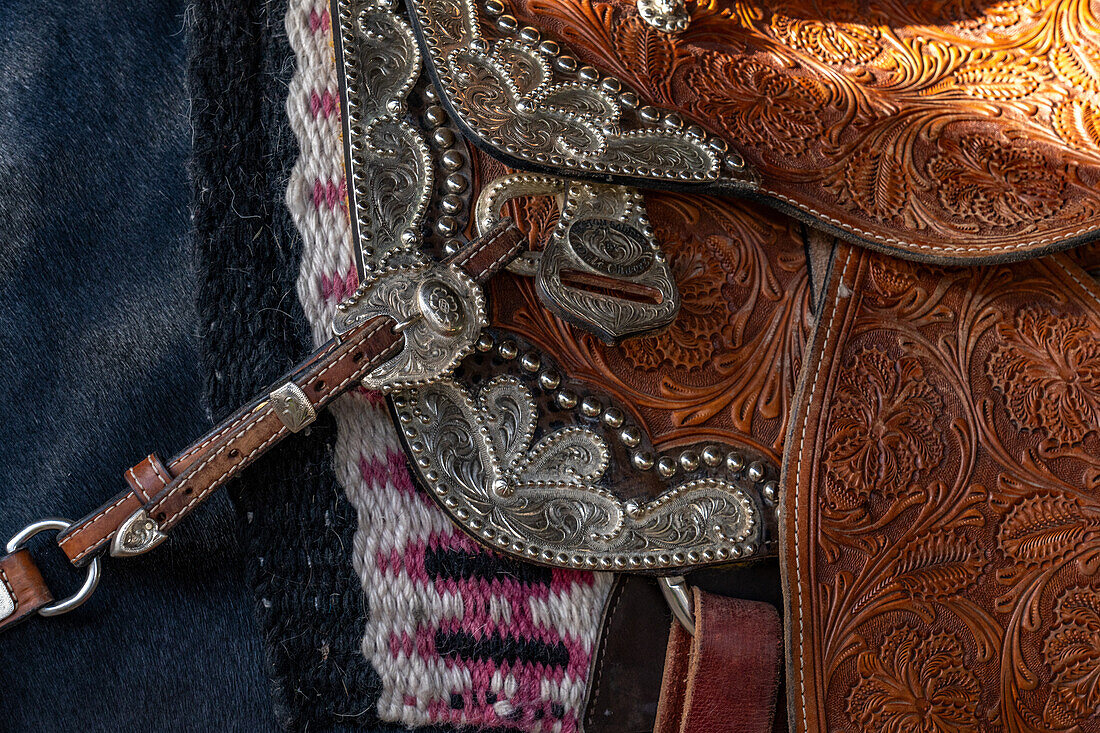 Detail of engraved silver trim on a tooled leather saddle on a rodeo specialty act performing Andalusian horse at a rodeo in Utah.