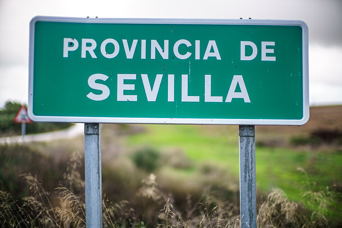 Grünes Straßenschild mit dem Hinweis auf die Provinz Sevilla in einer ländlichen Gegend Spaniens. Das Schild ist von wildem Gras umgeben.