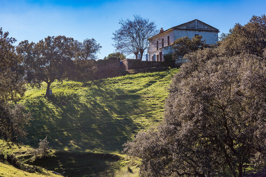 Ein malerisches Landhaus in der malerischen Sierra Morena, Andalusien, Spanien. Umgeben von viel Grün und einer ruhigen Landschaft, ideal für Erholungssuchende und Naturliebhaber.