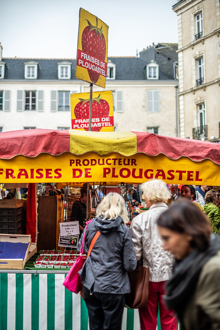 Käufer stöbern an einem Marktstand in Vannes, Bretagne, Frankreich. Der Stand verkauft frische Produkte, darunter Erdbeeren.