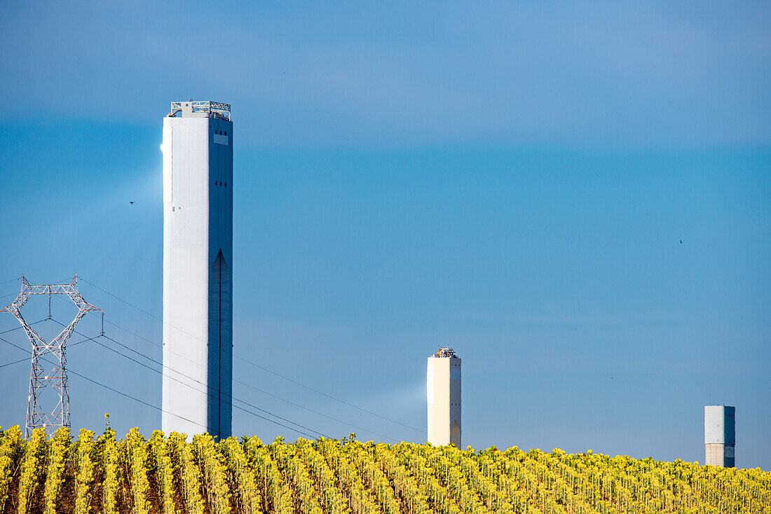 Turm eines Solarkraftwerks und Stromleitungen hinter einem leuchtenden Sonnenblumenfeld in Sanlúcar la Mayor, Sevilla, Andalusien, Spanien.