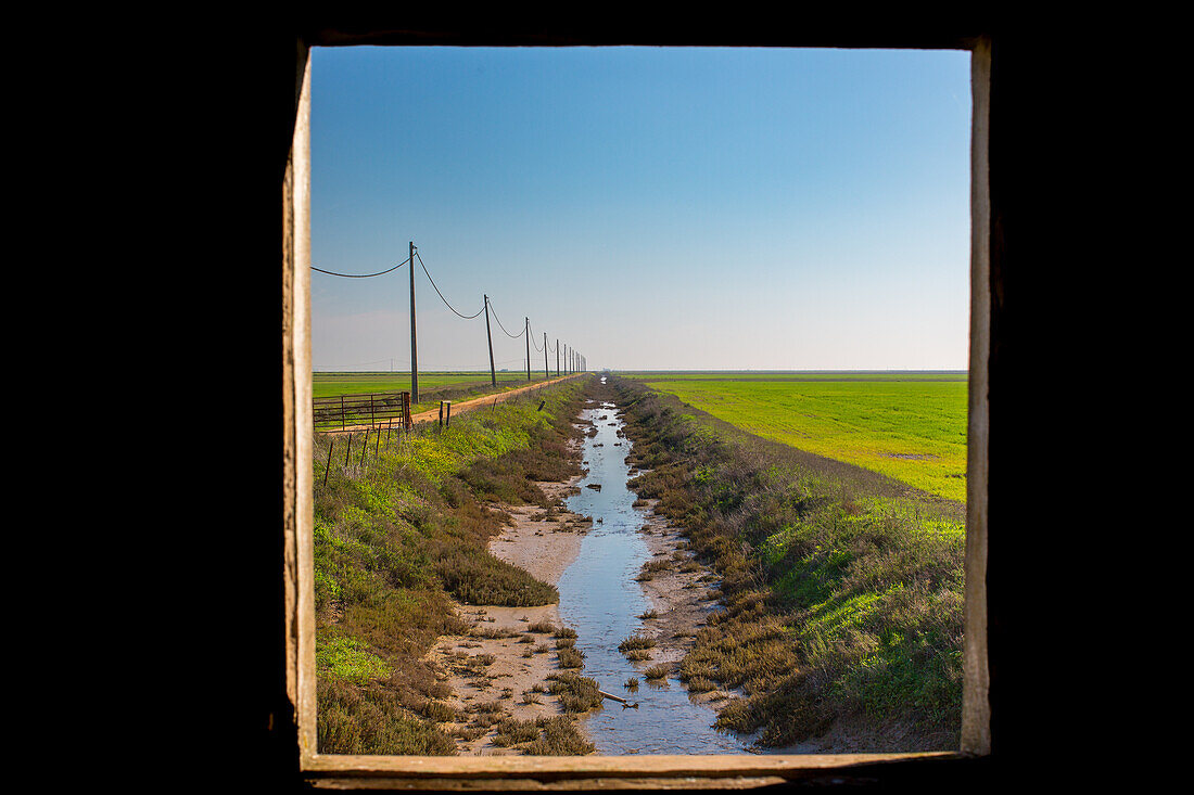 Beautiful view of the green landscape and canal in Doñana National Park, Andalucía, Spain. Captured through a rustic window frame.