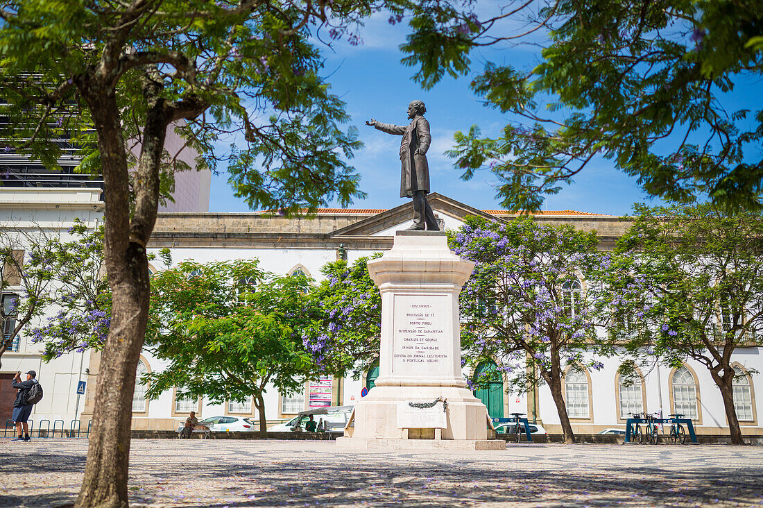 Denkmal für Jose Estevao Coelho de Magalhaes, Aveiro, Portugal