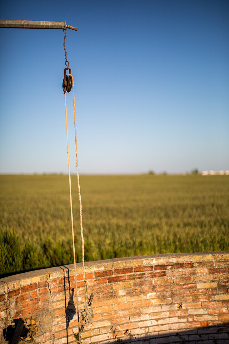 A well with a pulley and rope hangs down into the well, with a field in the background.