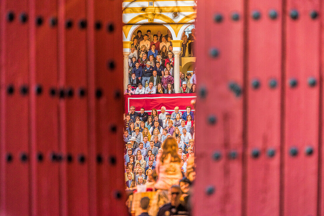 Audience at the Plaza de Toros de la Real Maestranza in Seville, Spain, seen through the opened Prince's Gate.