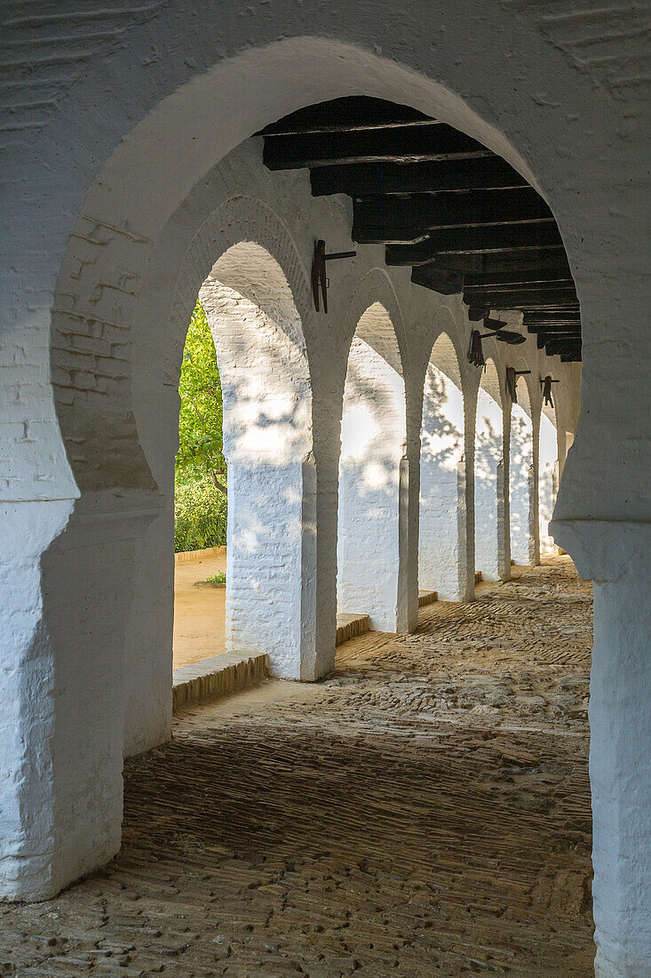 A scenic view of the historic corridor in Palacio Ducal de Medina Sidonia, Sanlucar de Barrameda, located in Andalusia, Spain. The architectural design reflects the ancient culture.