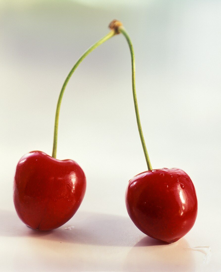 Two Red Cherries on a Stem