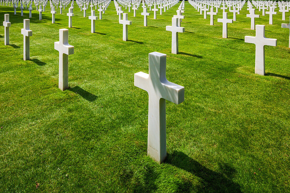 Rows of white crosses at the American military cemetery in Normandy, France, honoring fallen soldiers. Peaceful, respectful, and solemn atmosphere.