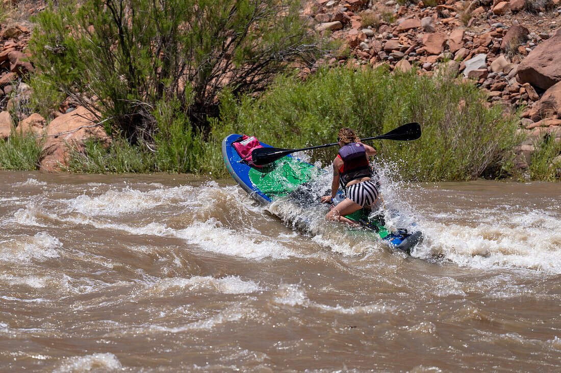 A young woman paddle boarding in the white water of White's Rapid on the Colorado River near Moab, Utah.